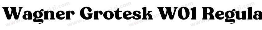 Wagner Grotesk W01 Regular字体转换